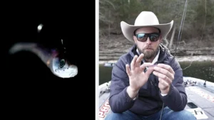 [VIDEO] Why Weight Size Matters with FFS Baits