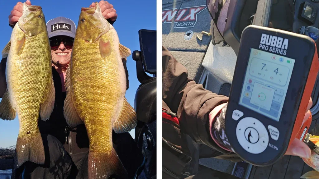 two smallmouth from Lake St. Clair