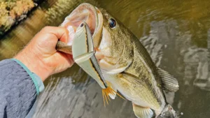 Berkley PowerBait Chop Block Review