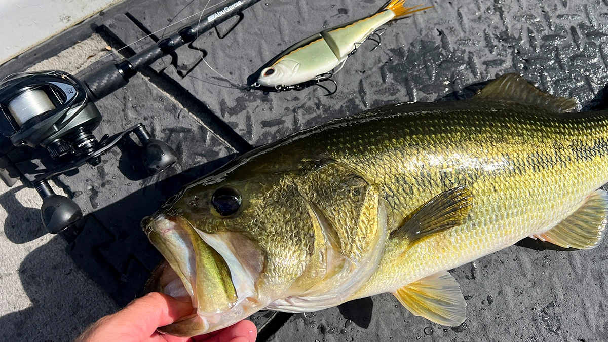 A Berkley PowerBait Chop Block laid out next to the fish it caught