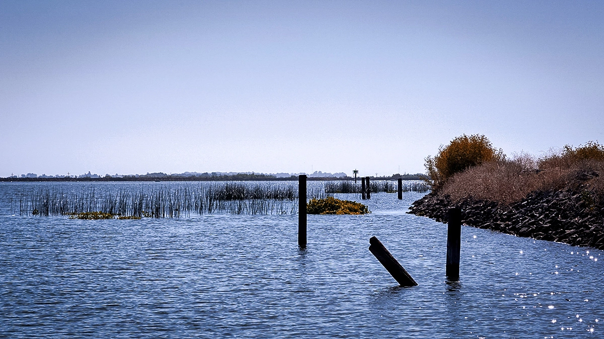The California Delta, officially known as the Sacramento-San Joaquin River Delta
