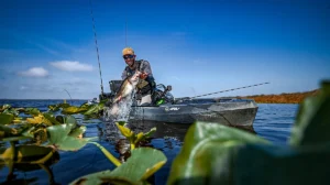 A man catches a fish in a kayak in a weedy area