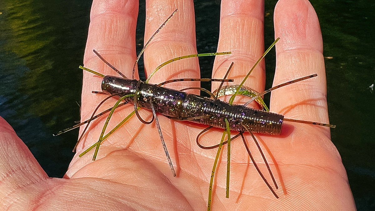 A closeup of a Z-Man Fuzzy TRD bait held in an open palm