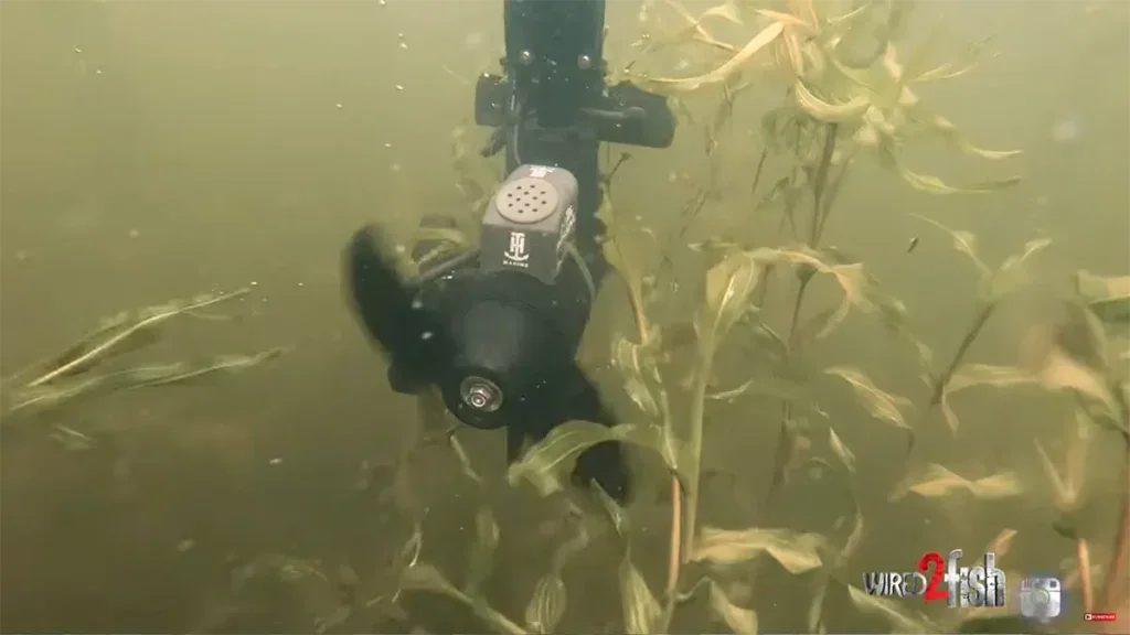 Garmin Force Pro Trolling Motor underwater