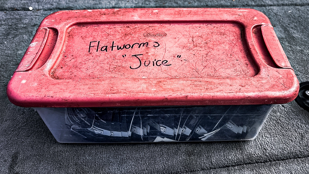 A red-lidded boat storage bin labeled The Juice, which contains Berkley Max Scent Flat Worm bait.