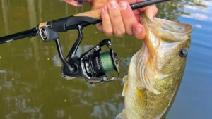 Shimano 2025 Exsence B Spinning Reel Review