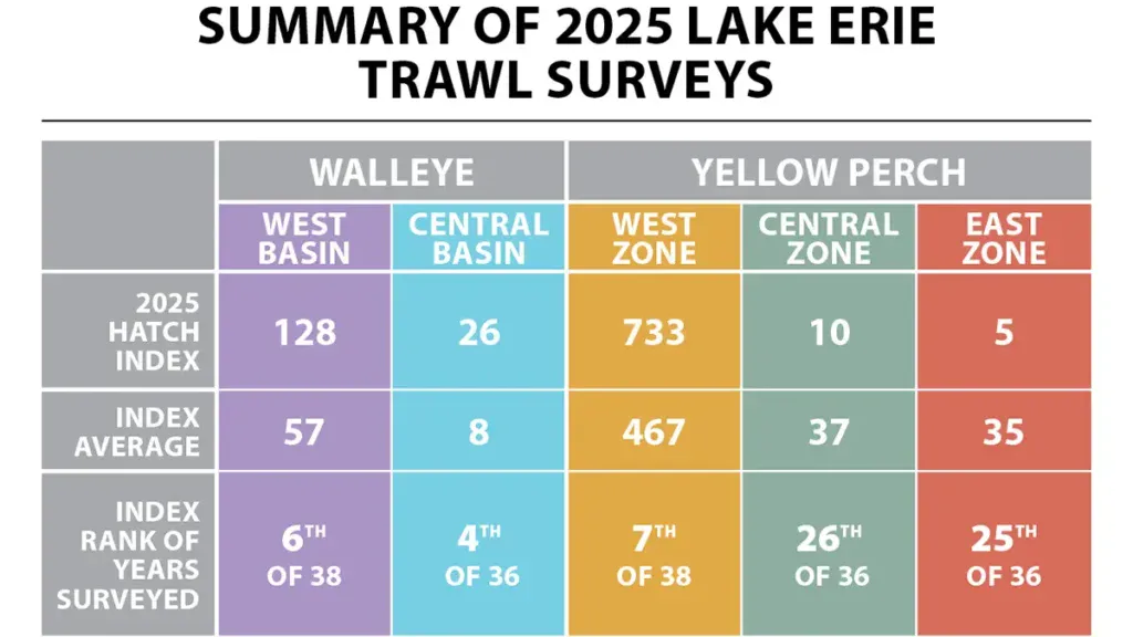 Lake Erie's 2025 Lake Erie Trawl Survey Results