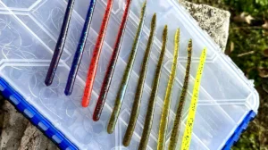 Lake Fork Lures Pro Flat Finesse Worm