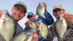 Winter Crappie Action Is Heating Up On South Florida’s Lake Okeechobee