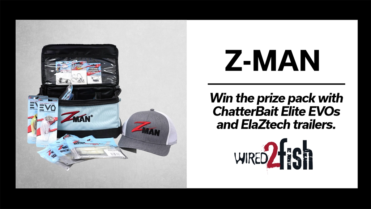 Z-Man Prize Pack Giveaway