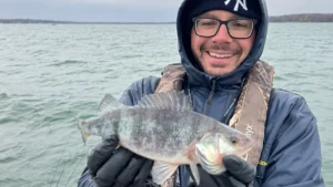 Why Are Some Freshwater Fish Blue?