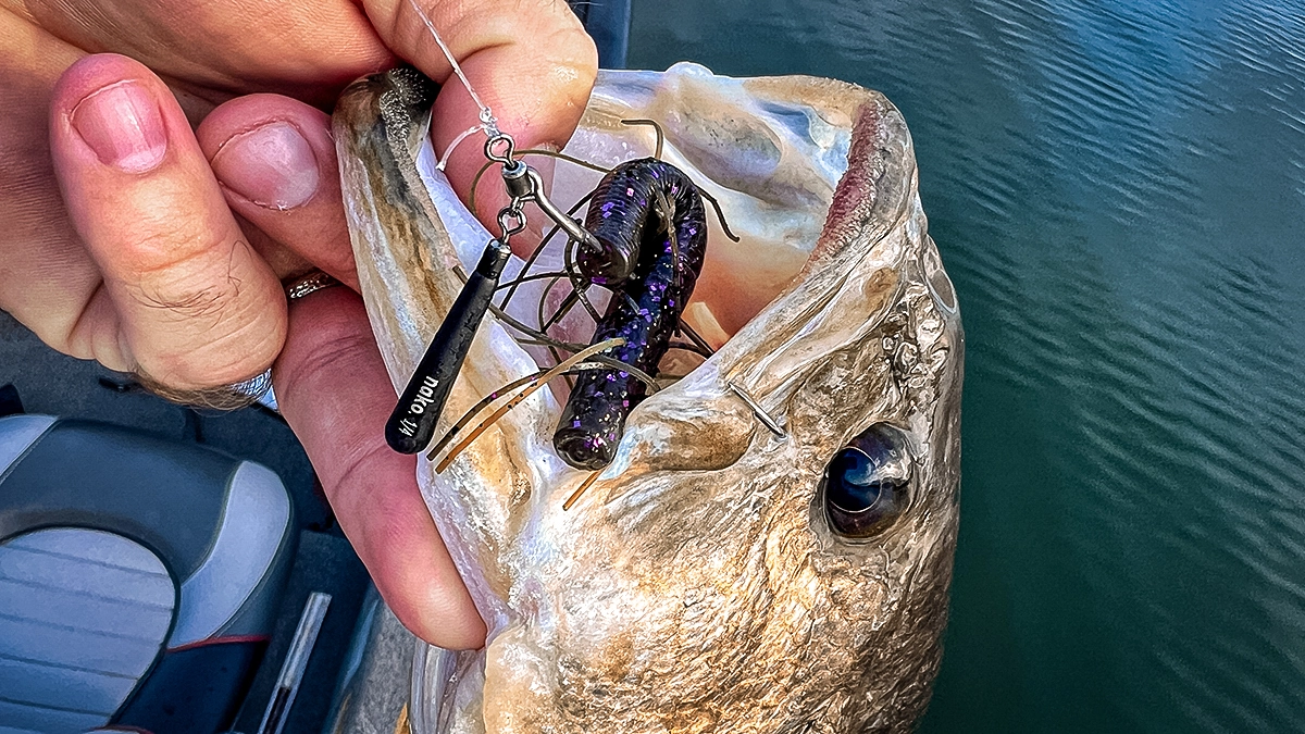 A fish caught and being pulled from the water, with a Buckeye Freestyle Swimbait jighead in its mouth