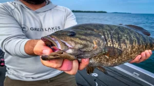 A man in a Great Lakes Finesse shirt holds up a fish with a tube bait in its mouth