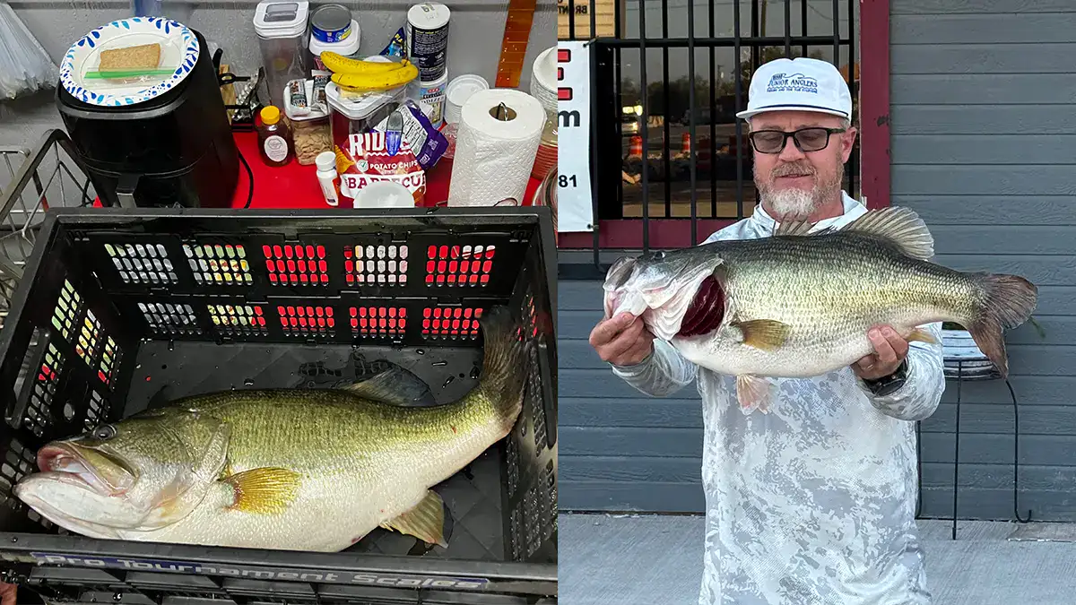 giant Texas bass breaks record 1