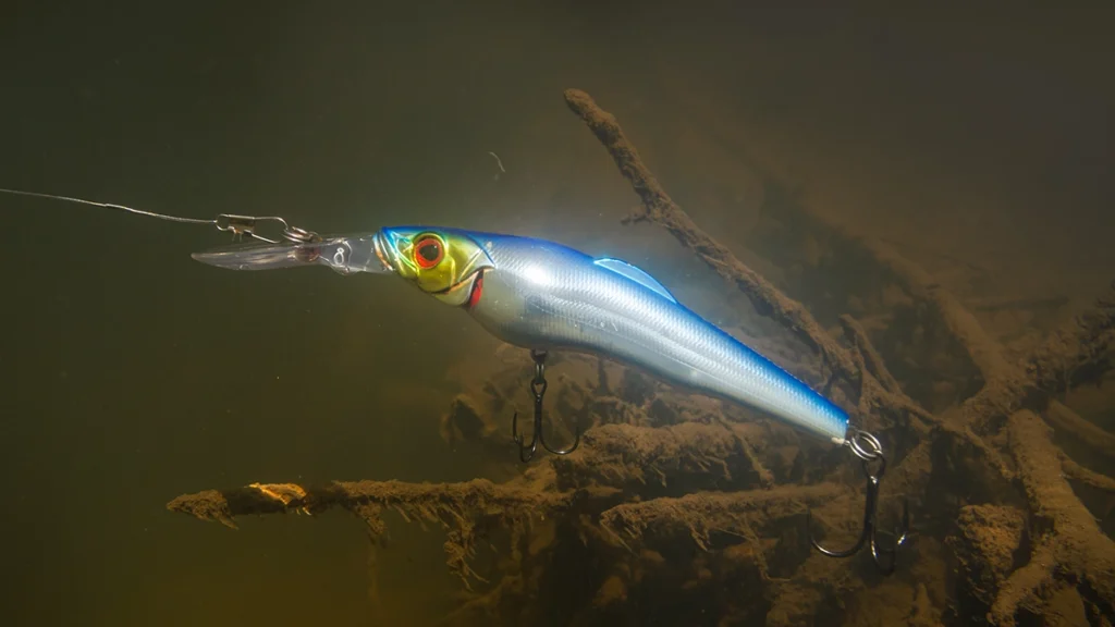 lipped plug near structure