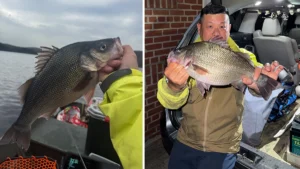 Angler Breaks 34-Year-Old Record for NY White Perch