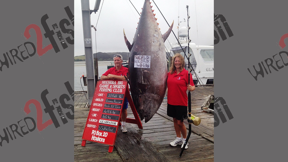 A man and a woman stand on either side of her world-record Pacific bluefin tuna
