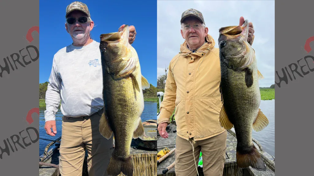 Double digit Florida Rodman Reservoir largemouth bass catches