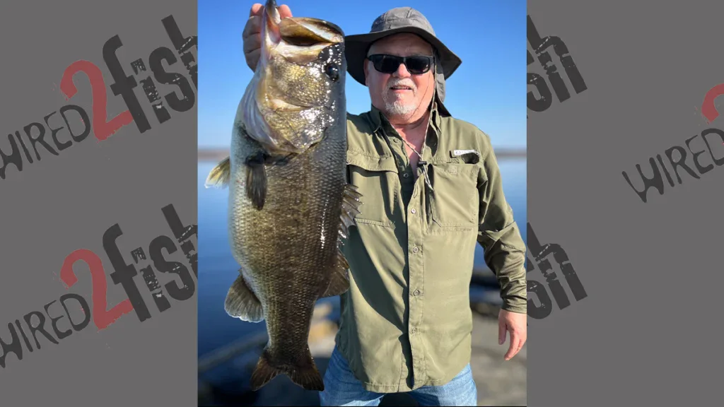 Florida Rodman Reservoir largemouth bass