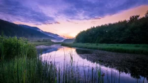 How To Read A River: Breaking Down Current For Multi-Species Angling Opportunities