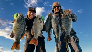Winter Bass Fishing: From Beginner to Advanced