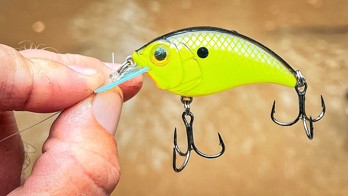 Closeup of yellow bait held between a man's fingers