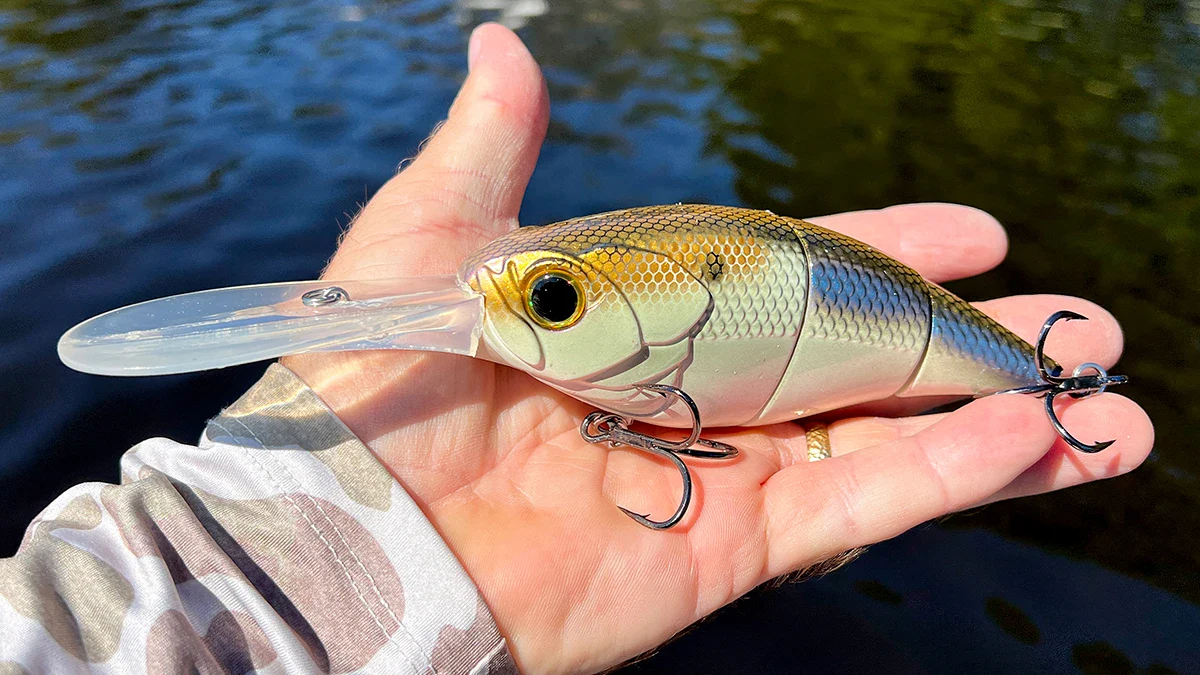 The 6th Sense Unit 24 Crankbait
