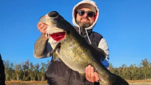 15-Pound, 30-Inch Bass Caught, Released On SoCal’s Famed Lake Otay
