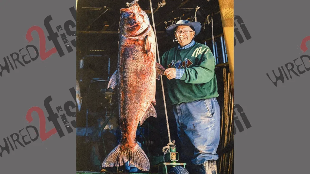 Bighead carp all-tackle world record (by weight)