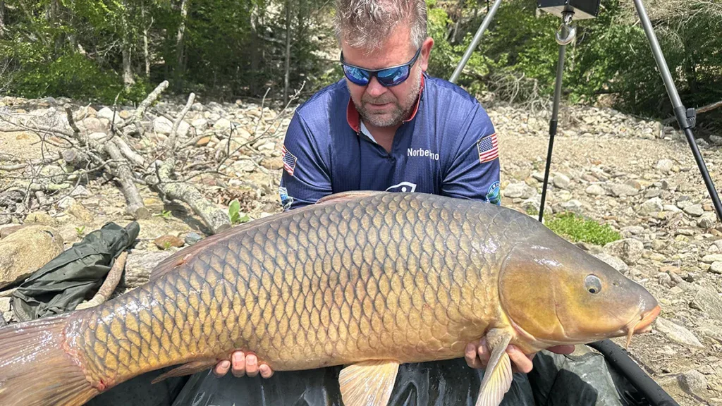 Common carp all-tackle world record by length