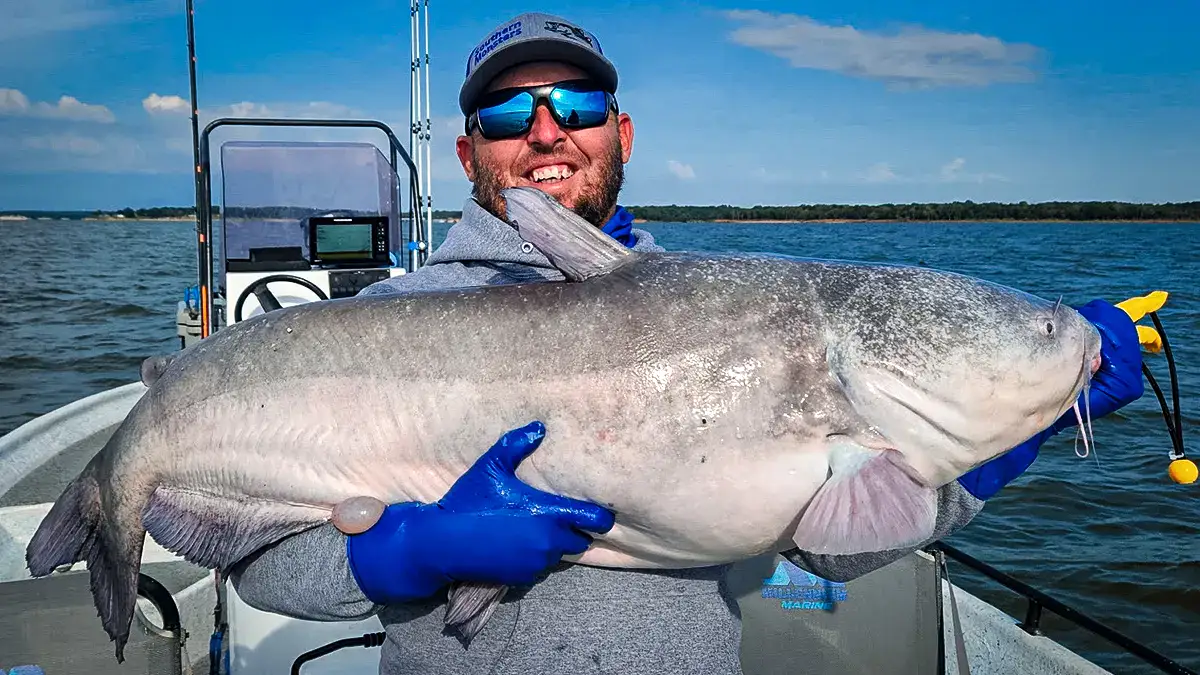 A man holds a massive catfish