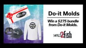 Do-it Molds Give Away