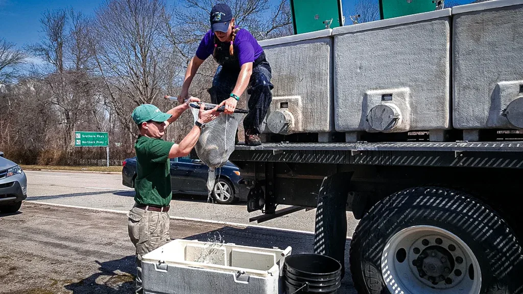 Two fisheries officials gather data in New York