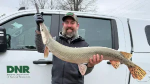Indiana Record Longnose Gar Caught By Angler Jigging For Hybrid Striped Bass