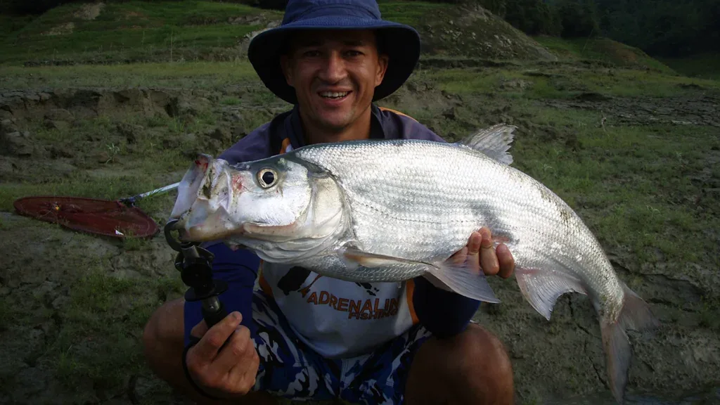 Predatory carp all-tackle world record by weight