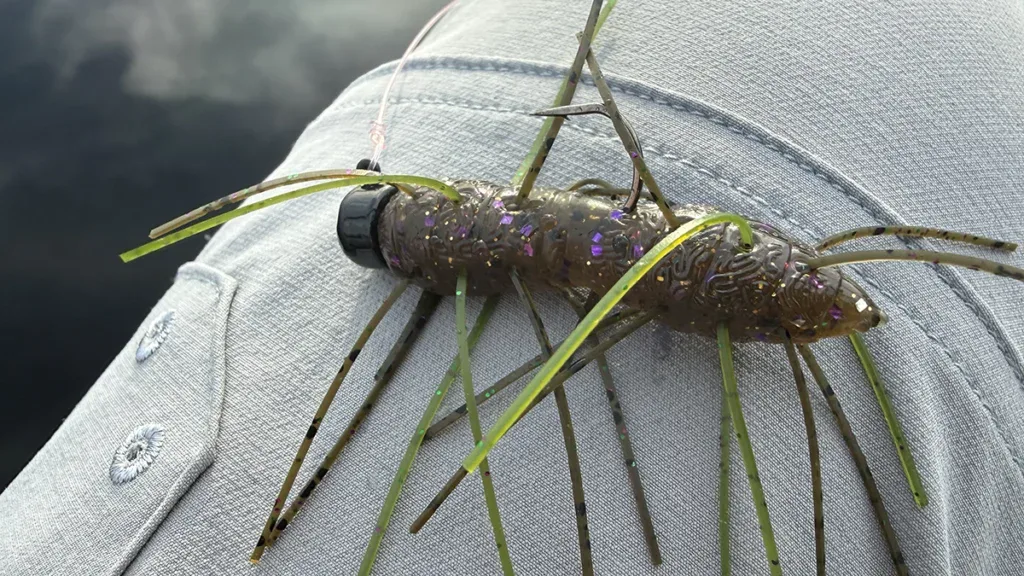 Rigging the Z-Man Fuzzy BugZ with a jighead