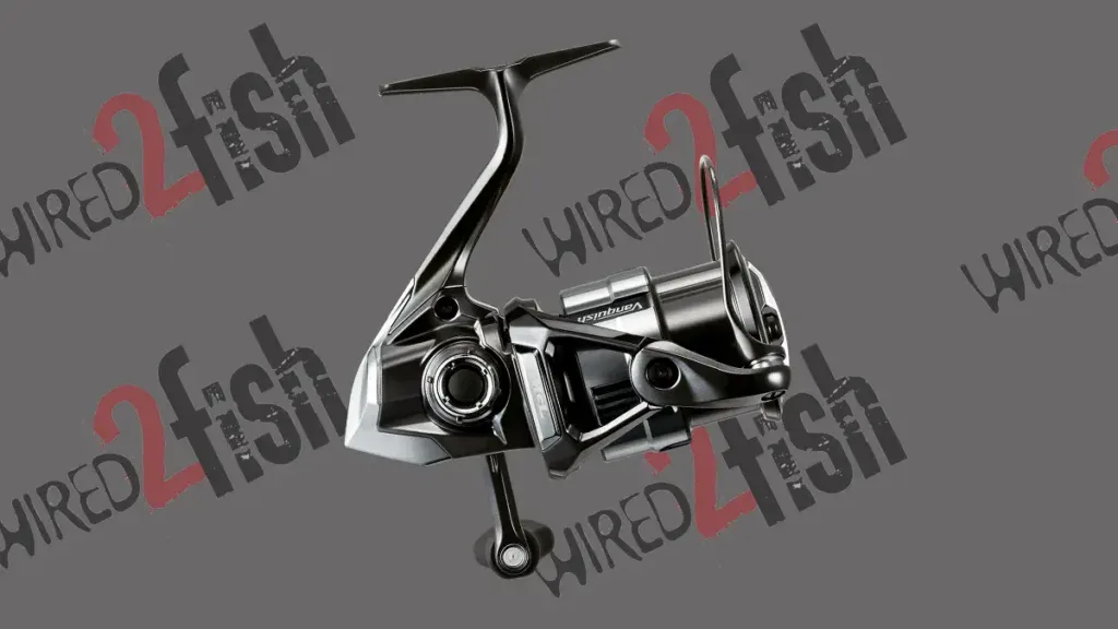 Shimano Vanquish