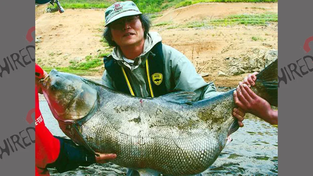 Silver carp all-tackle world record by weight