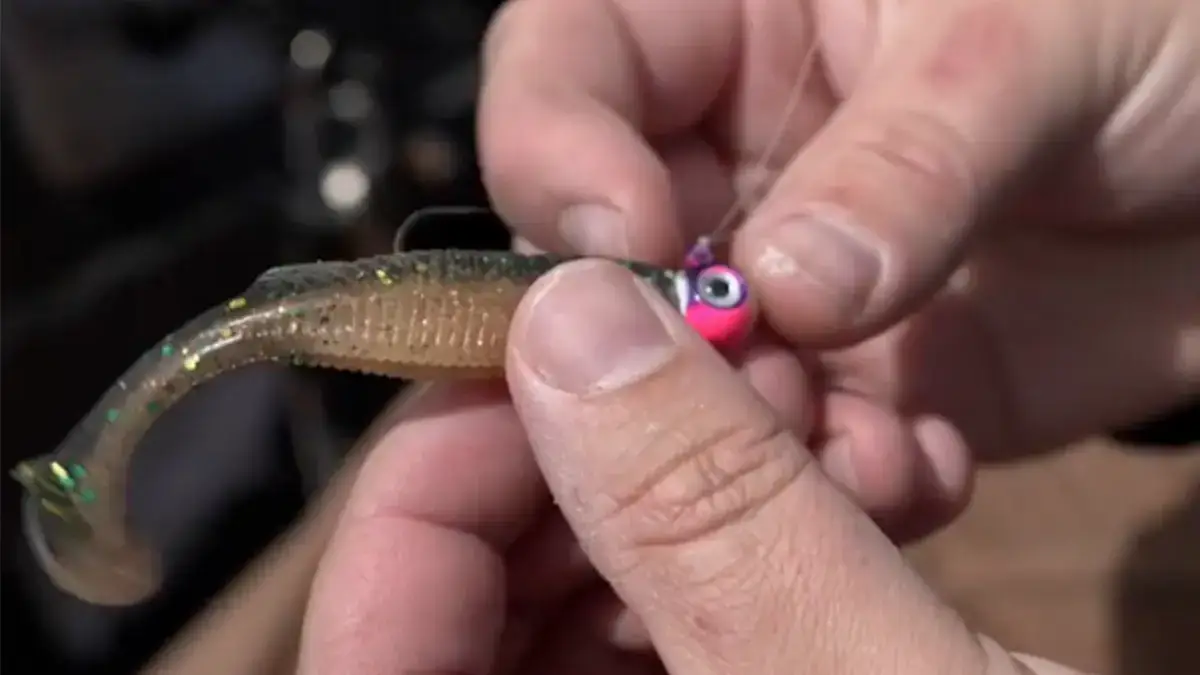 pink-headed VMC Neon Moon Eye Jig