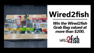 Wired2fish tackle giveaway