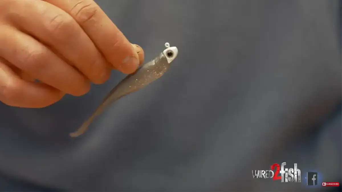 A hand holding the Z-Man Scented Jerk ShadZ