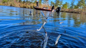 3 Reasons to Fish an Alabama Rig This Winter
