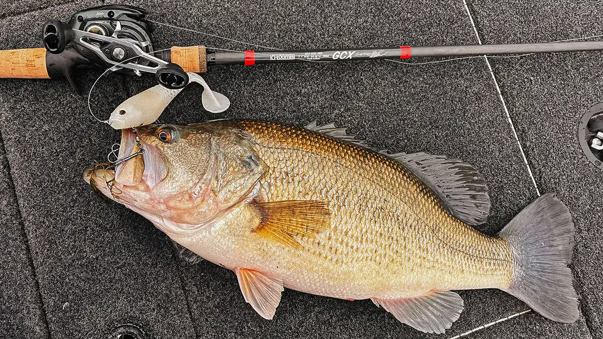 A hooked bass next to a rod on the deck of a boat