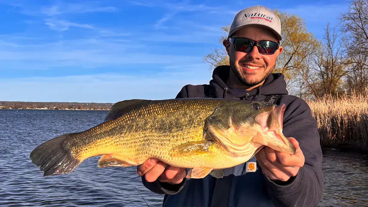 A man near a reedy shoreline holds up a bass