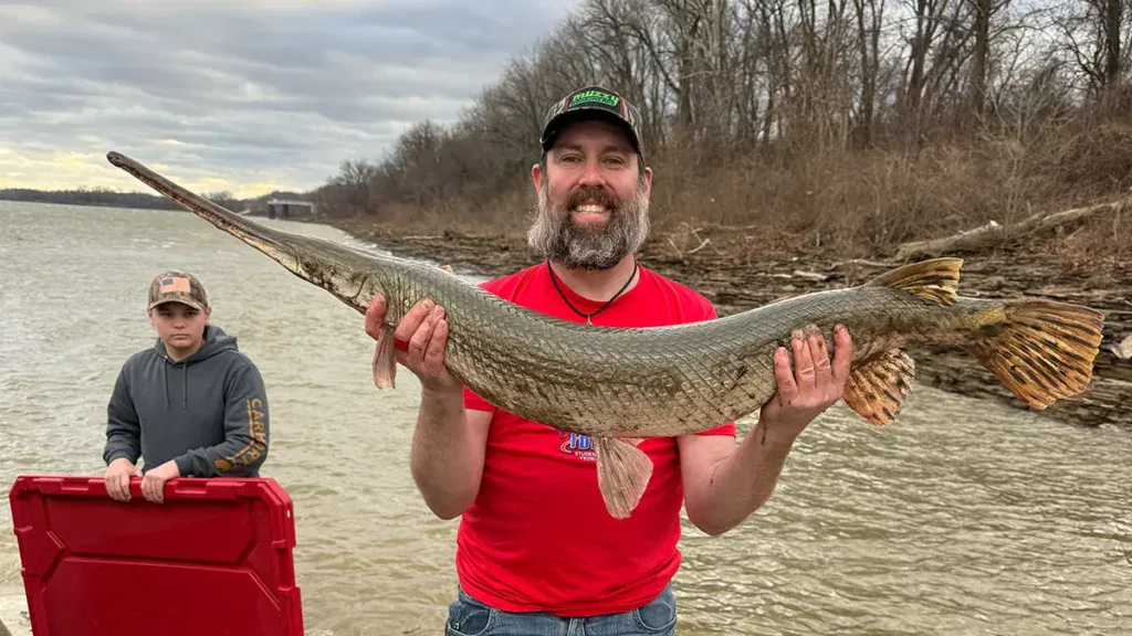 record longnose gar
