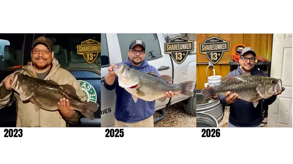 Three time ShareLunker Bass caught by same angler
