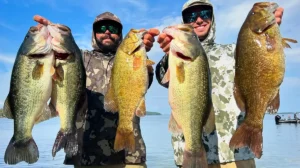 Two men display five bass between them