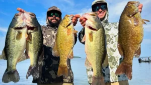 Why Northern Largemouth Are Superior to the Florida Strain