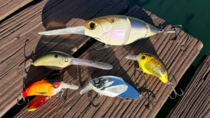 What’s New With Crankbaits