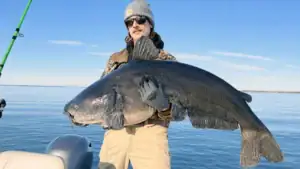 73-Pound South Carolina Blue Catfish Caught And Released